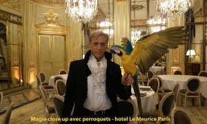 magie-close-up-avec-Paris-Le-Meurice-paris-300x180  